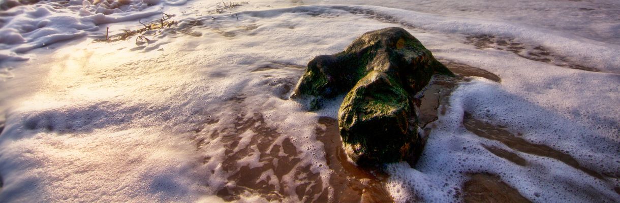 Dinosaur footprint on Isle of Wight beach